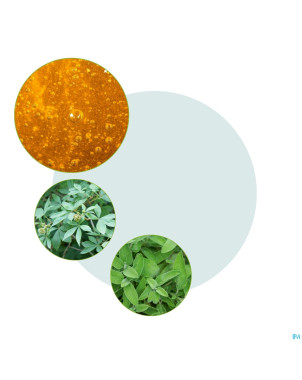 Prosan forte gouttes fl 100ml