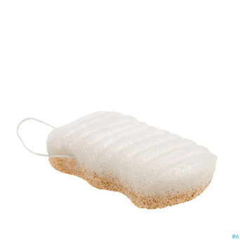 Lady green eponge konjac corps eclat noix