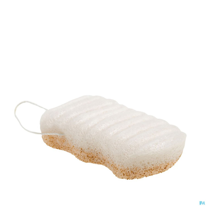 Lady green eponge konjac corps eclat noix