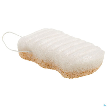 Lady green eponge konjac corps eclat noix