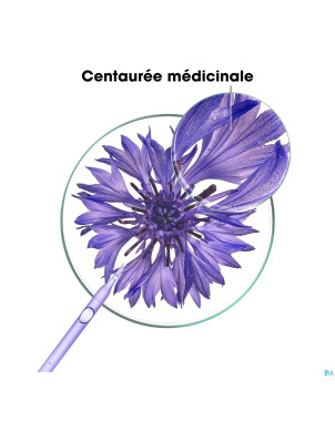 Klorane capil. baume centauree    200ml