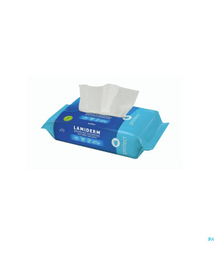 Lamiderm protect lingettes desinfect.  flowpack 70
