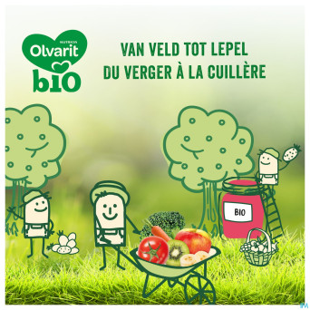 Olvarit bio 12-36m pet.pois fenouil quinoa