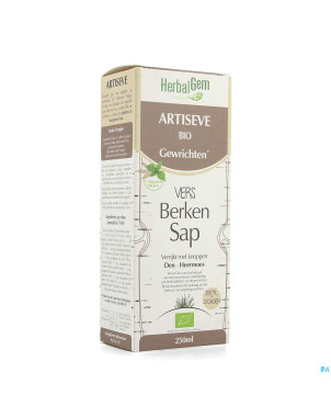 Herbalgem artiseve bio    fl 250ml