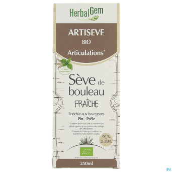 Herbalgem artiseve bio    fl 250ml