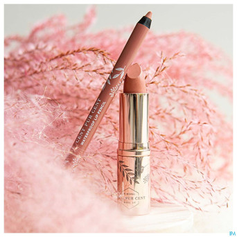 Cent pur cent lip kit 2