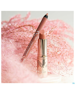 Cent pur cent lip kit 2