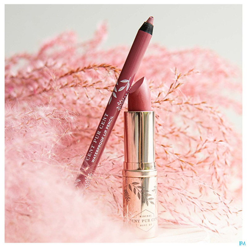 Cent pur cent lip kit 4