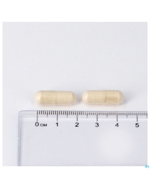 Biotippin pot caps 30 lepivits