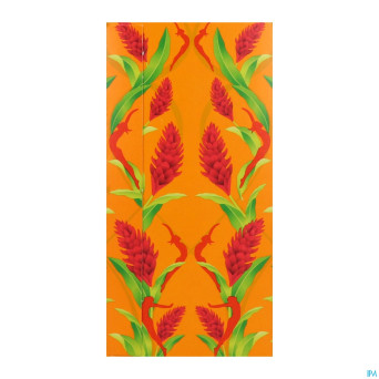 Pukka herbs three ginger sach 20