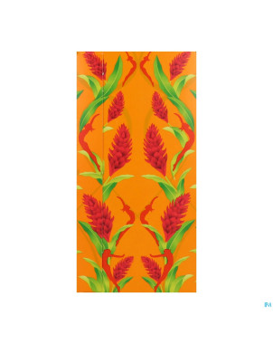 Pukka herbs three ginger sach 20