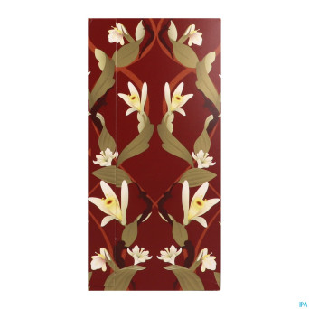 Pukka herbs vanilla chai sach 20