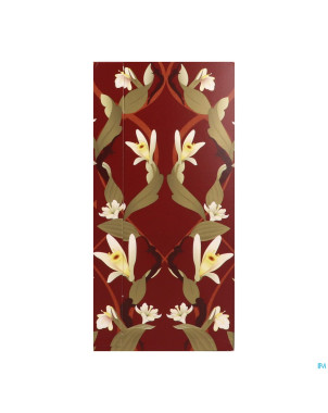 Pukka herbs vanilla chai sach 20