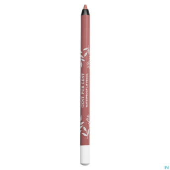 Cent pur cent crayon levres longue tenue vintage