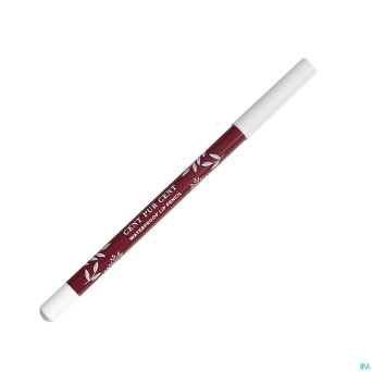 Cent pur cent crayon levres longue tenue pasteque