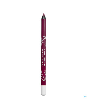 Cent pur cent crayon levres longue tenue pasteque