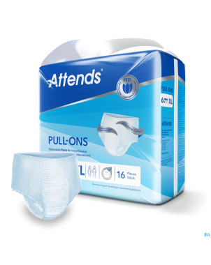 Attends pull-ons 6 xl 1x16