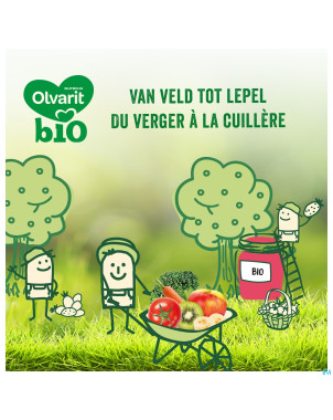 Olvarit bio pomme fraise    6m 2x200g