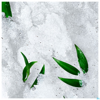 Nuxe reve de the gommage gran. ressourc. tube150ml