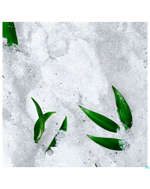 Nuxe reve de the gommage gran. ressourc. tube150ml