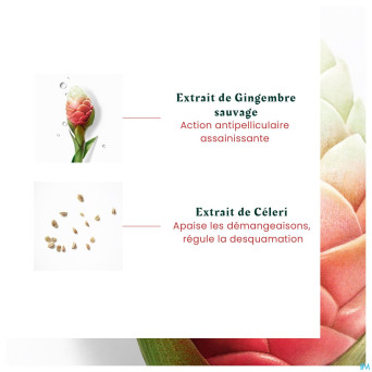 Furterer neopur sh pellicules grasses 150ml