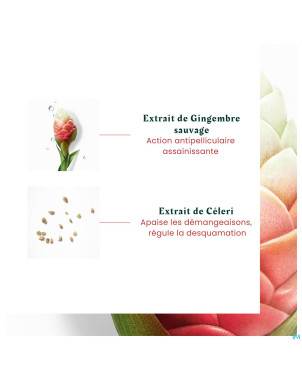 Furterer neopur sh pellicules grasses 150ml