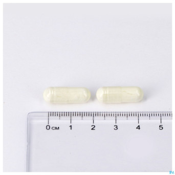 Zinc forte v-caps 60 lepivits