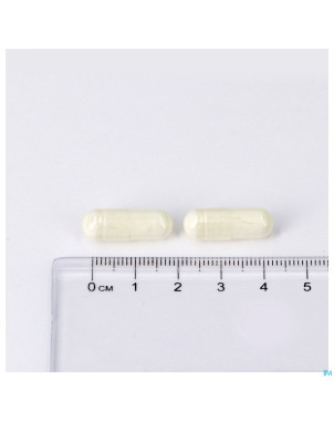 Zinc forte v-caps 60 lepivits