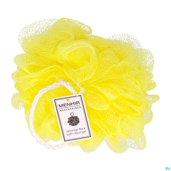 Vitry eponge fleur asie    eponfle