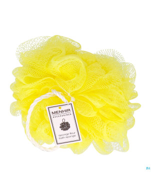 Vitry eponge fleur asie    eponfle