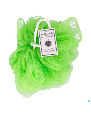 Vitry eponge fleur asie    eponfle