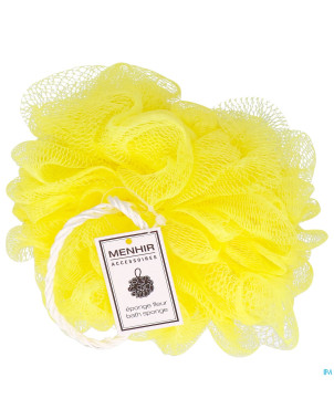 Vitry eponge fleur asie    eponfle