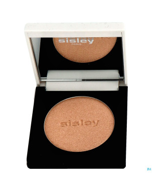 Le phyto-blush 6 shimmer