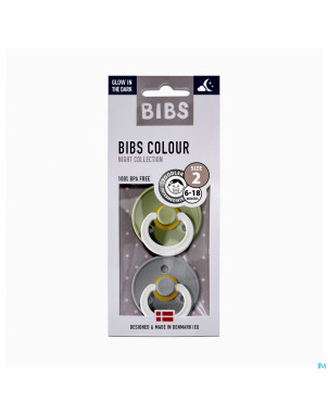 Bibs 2 sucette duo glowindark sage/cloud 2