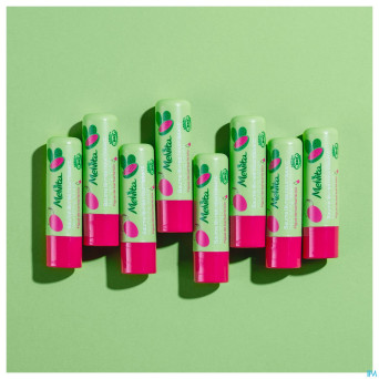 Melvita soin levres reparation 3,5g