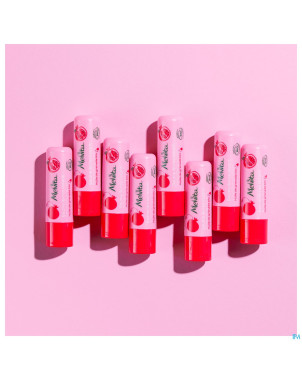 Melvita soin levres jeunesse   3,5g