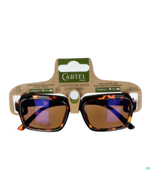 Cartel lunette solaire spring break asi