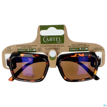 Cartel lunette solaire spring break asi