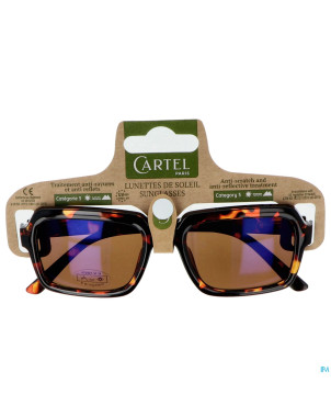 Cartel lunette solaire spring break asi