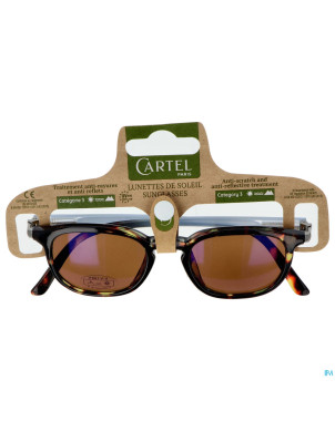 Cartel lunette solaire petra asie