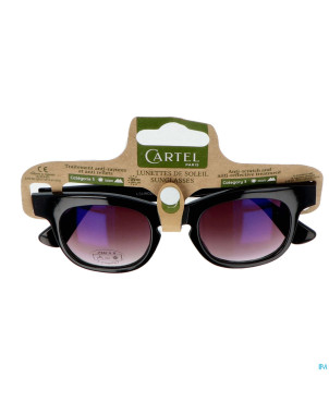 Cartel lunette solaire copacabana asie