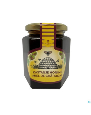 Revogan miel chataigne    500g