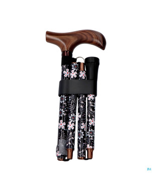 Pluviose canne pliable fantas. poignee bois bird