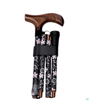 Pluviose canne pliable fantas. poignee bois bird