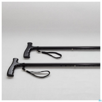 Pluviose canne 2 pieces manche standard noir