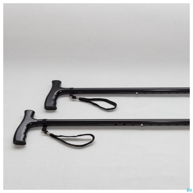 Pluviose canne 2 pieces manche standard noir