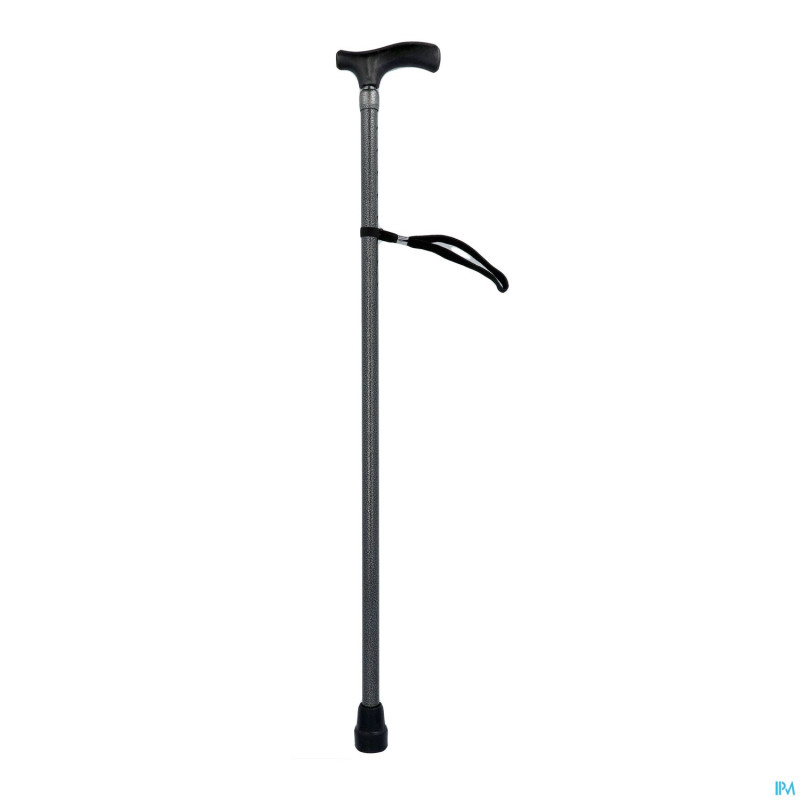 Pluviose canne 2 pieces manche standard gris