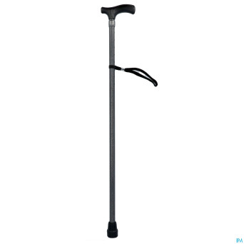 Pluviose canne 2 pieces manche standard gris