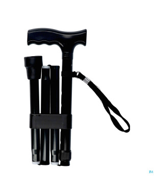 Pluviose canne pliable 5 pieces noir