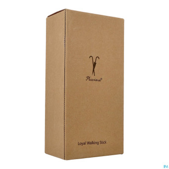 Pluviose canne loyal pliable noir